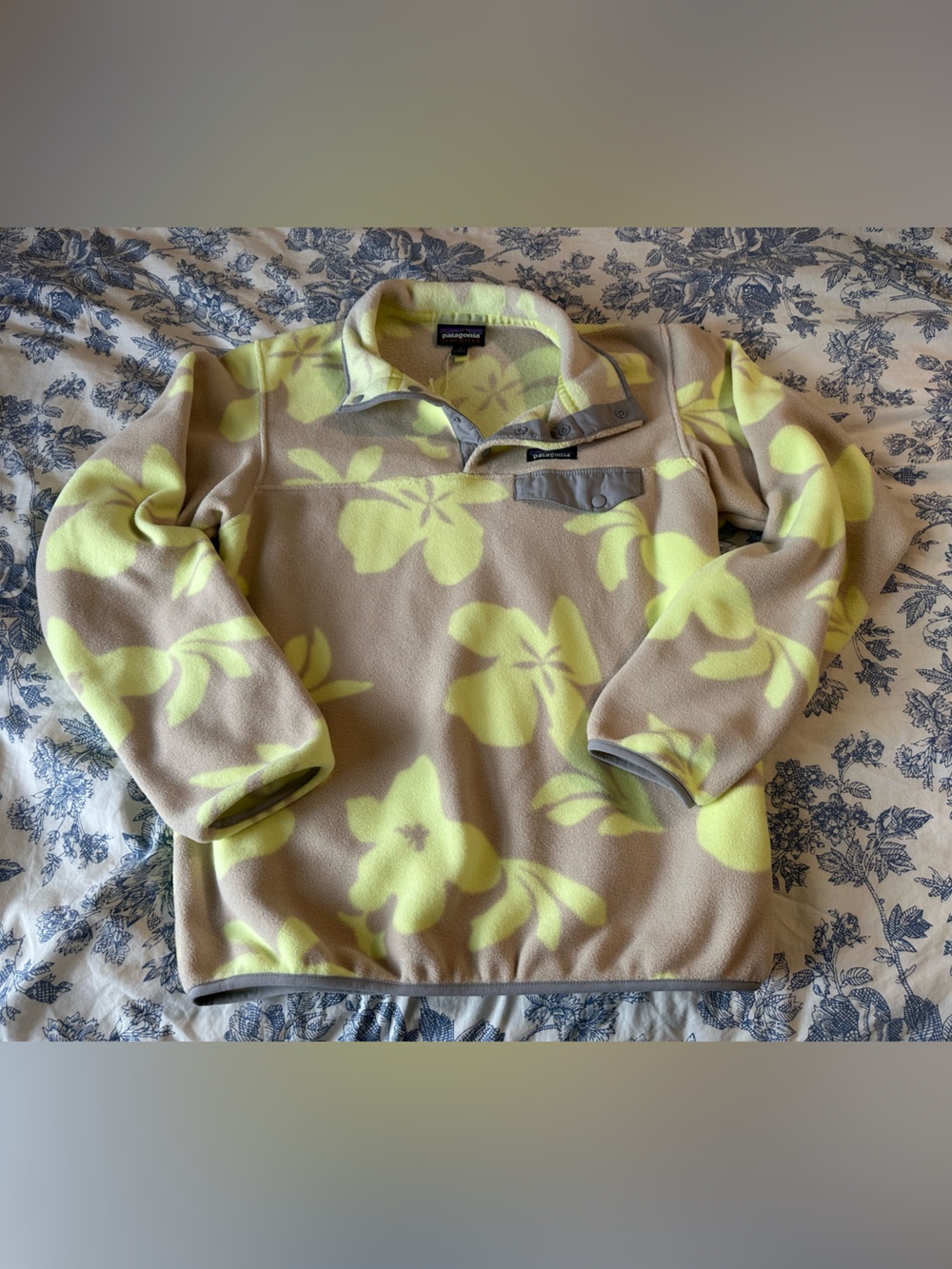 Patagonia Synchilla Pullover